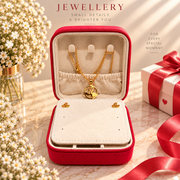 Mini Jewelry Organizer With Mirror and free necklace set